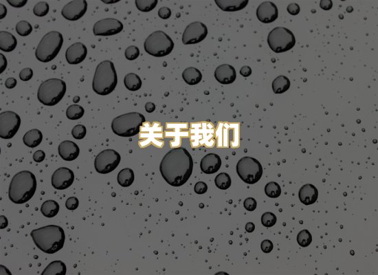 关于我们